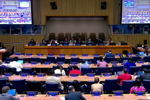 Anielle Franco viaja para evento da ONU, mas falta a debate sobre temas raciais