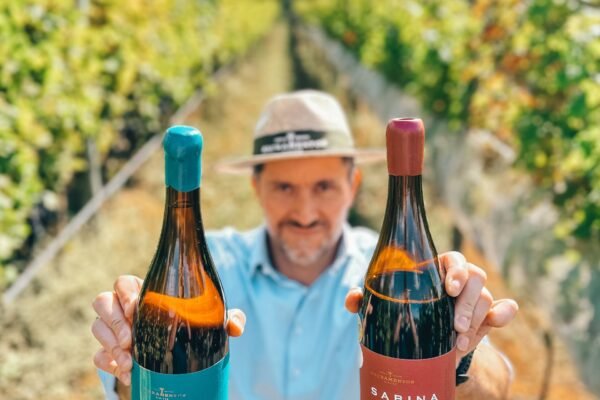 Empresário leva uvas de Minas Gerais para o Rio Grande do Sul para fazer vinhos e espumantes
