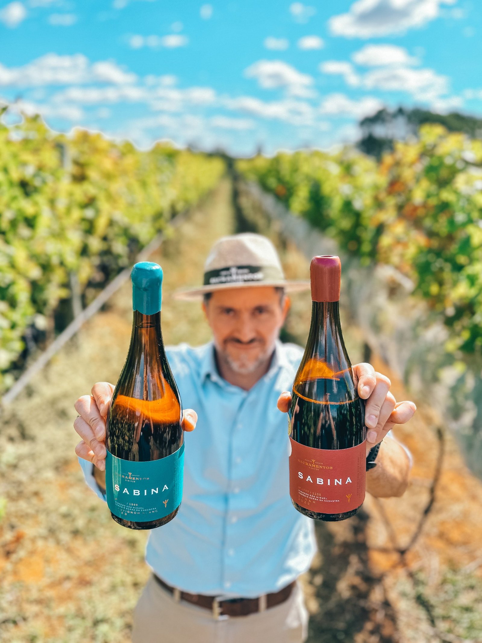 Empresário leva uvas de Minas Gerais para o Rio Grande do Sul para fazer vinhos e espumantes