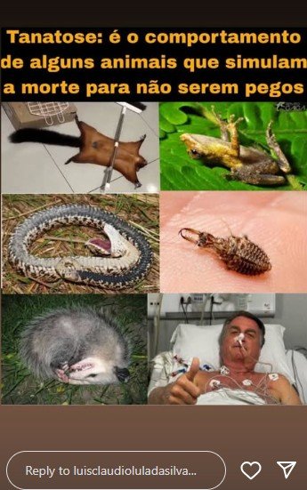 Filho de Lula compara Bolsonaro a animal que finge estar morto