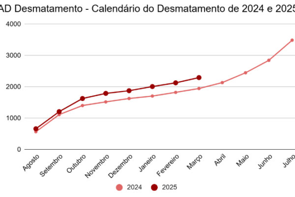 Desmatamento na Amazônia sobe 18% a poucos meses da COP30