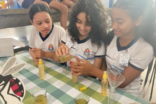 Estudantes produzem e distribuem repelente contra o mosquito da dengue no litoral de SP; aprenda a receita