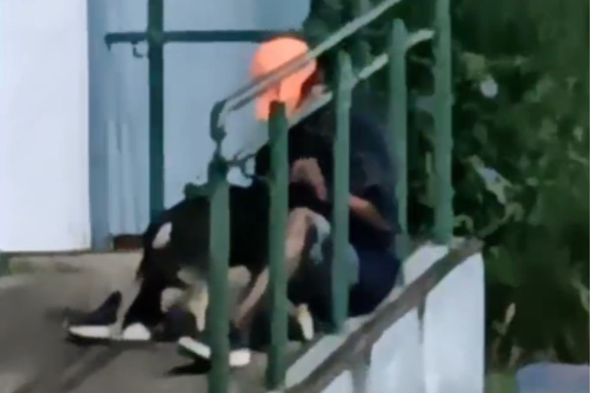 Polícia analisa vídeo de homem suspeito de molestar cachorro em praça no interior de SP; VEJA