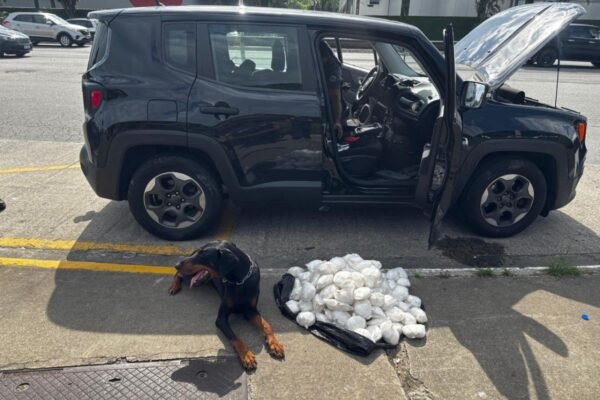Cão farejador descobre cocaína em painel de carro e motorista acaba preso no litoral de SP