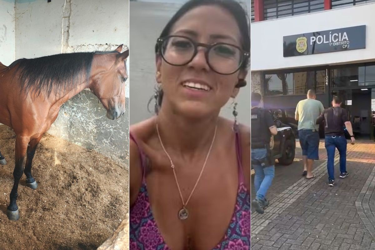 Charreteiro que atropelou e matou ciclista diz à polícia que estava ‘conhecendo’ a égua no momento do acidente