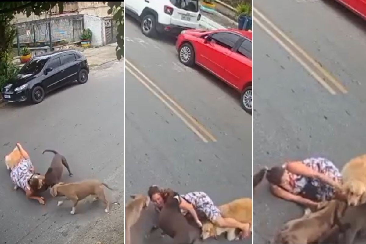 Grávida de sete meses cai ao proteger cachorro de cães de grande porte em Santos; VEJA