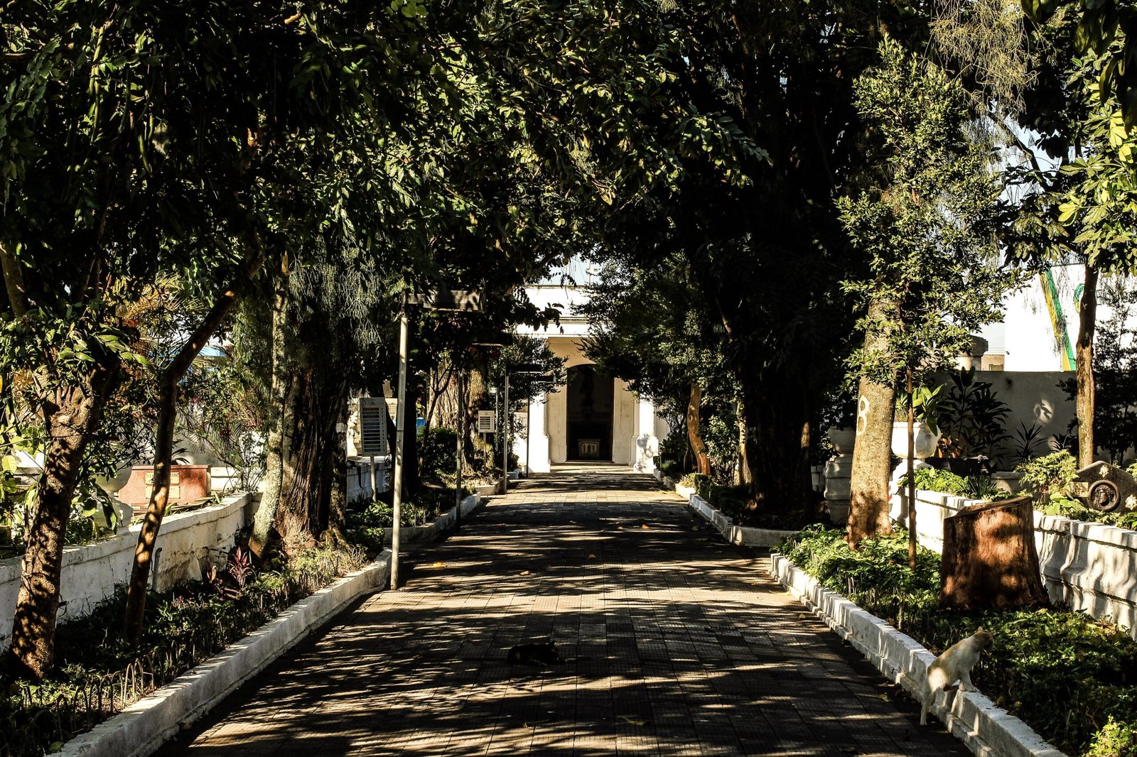 Uma noite no Cemitério? Santos, SP, abre inscrições para passeio; veja como participar