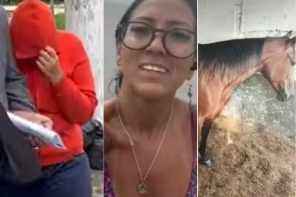 Mulher de charreteiro que atropelou e matou turista em praia é presa Mulher de charreteiro que atropelou e matou turista em praia é presa