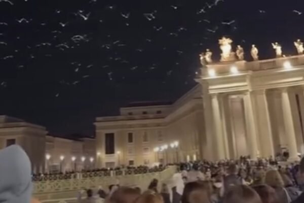 É #FATO que gaivotas sobrevoaram Praça São Pedro em meio ao funeral do papa Francisco