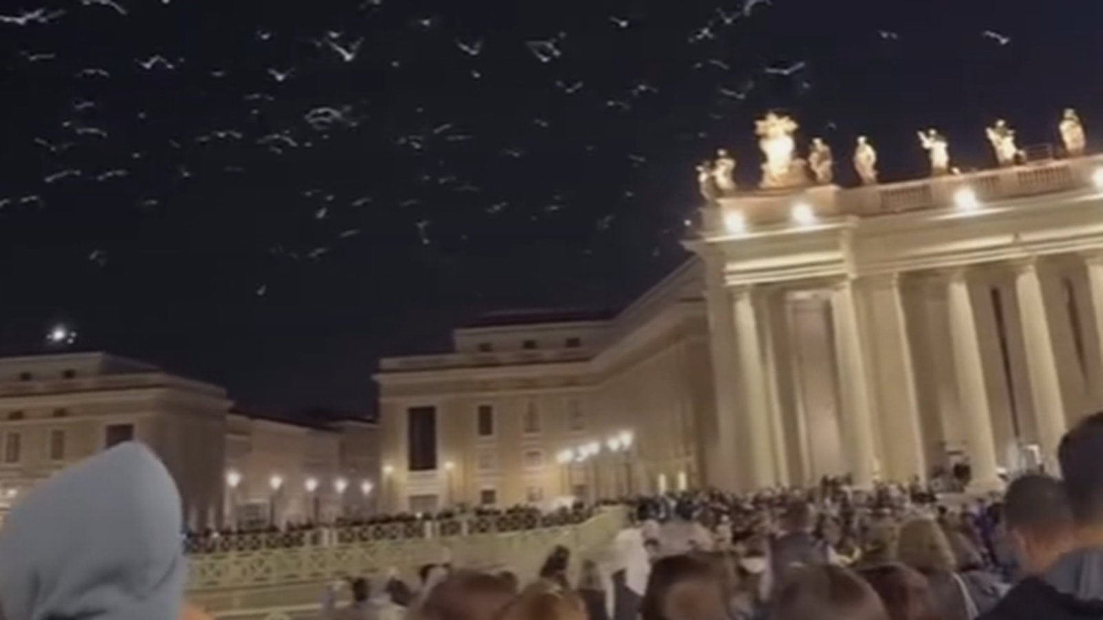 É #FATO que gaivotas sobrevoaram Praça São Pedro em meio ao funeral do papa Francisco