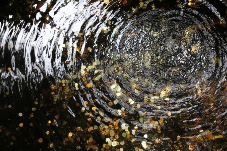 Projeto regulamenta coleta e doação de moedas lançadas em espelhos d’água