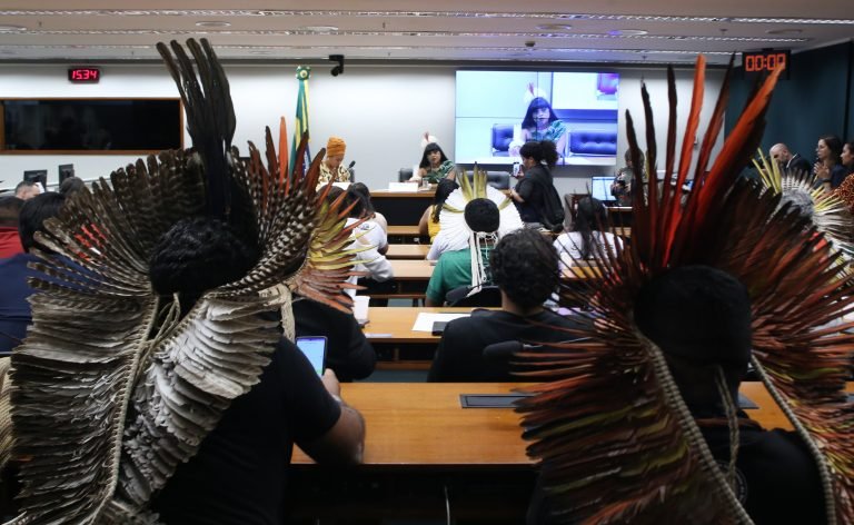 Lideranças indígenas cobram do Congresso respeito aos seus direitos