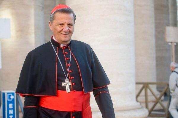 Progressistas ou conservadores: os cardeais mais cotados a substituir o papa Francisco