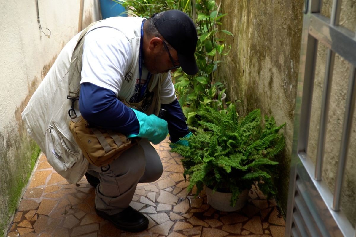 Guarujá registra 87% menos casos de dengue no primeiro trimestre de 2025