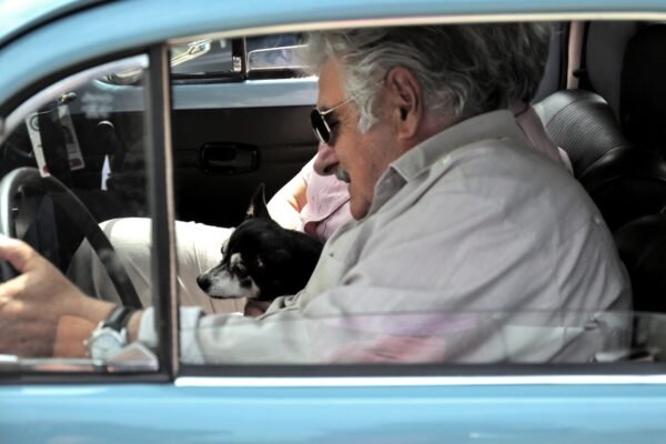Manuela: relembre a história da cadela de três patas que virou símbolo do estilo de vida simples de Mujica