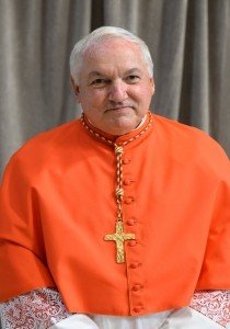 Conclave: quem pode substituir o papa Francisco? Lista de favoritos tem italianos, americano e brasileiro; veja