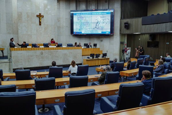 Patinetes elétricos compartilhados: Comissão de Trânsito debate fiscalização do serviço em São Paulo
