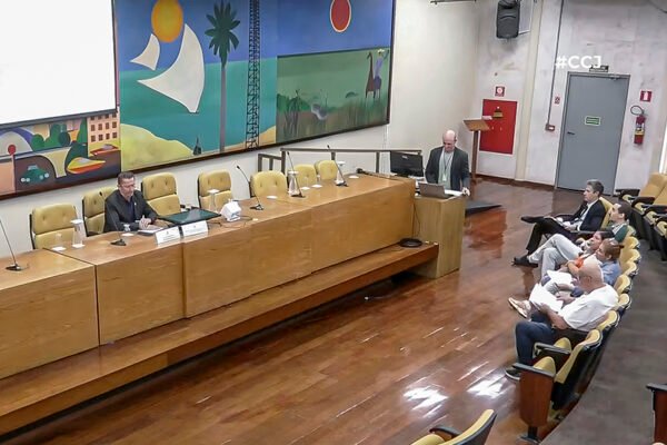CCJ aprova redação final de projeto que altera nomenclatura do brasão oficial da capital CCJ aprova redação final de projeto que altera nomenclatura do brasão oficial da capital
