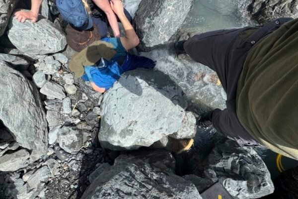 Homem sobrevive após ser esmagado por pedra de 318 kg e ficar preso com o rosto na água, nos EUA