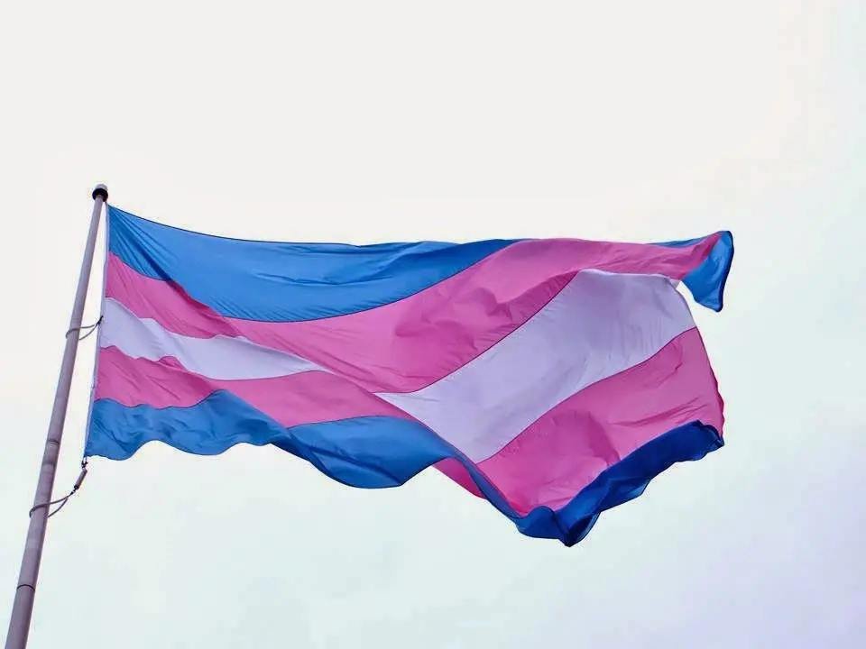 Deputado aciona PGR contra ‘cota trans’ em universidade federal