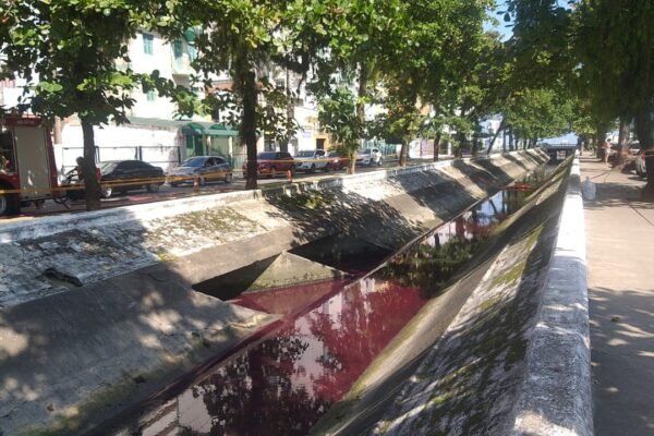 Carrefour vira réu por crime ambiental após vazamento de 2 mil litros de óleo diesel em canal no litoral de SP