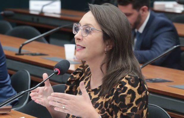 Projeto cria regras sobre custódia compartilhada de animal de estimação