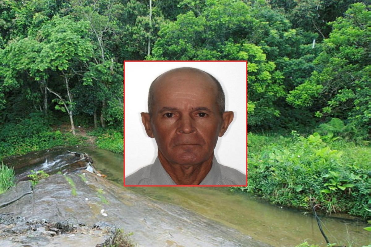 Buscas por idoso que andava com R$ 20 mil e sumiu após entrar em mata com cão são retomadas