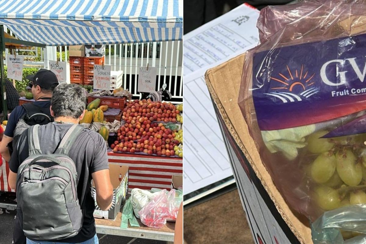 Feiras livres de Santos, SP, são alvo de força-tarefa contra irregularidades; entenda