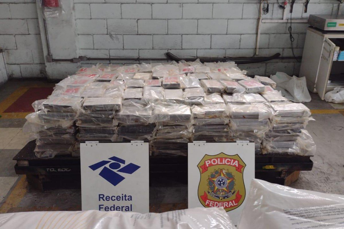 Receita Federal apreende 664 kg de cocaína em carregamento no Porto de Santos; VÍDEO