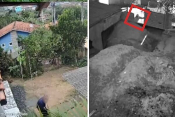 Homem finge desmaio, é ajudado por idosa e furta a casa dela dias depois no interior de SP; VÍDEO