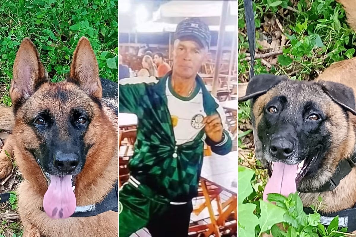 Cães farejadores identificam odor na mata que pode ser de idoso desaparecido