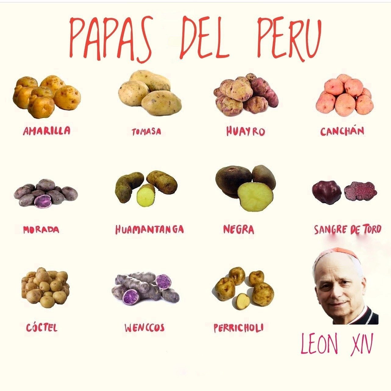 ‘Mais latino que o elenco de Emília Perez’: novo papa gera memes nas redes sociais