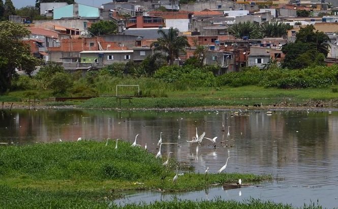 Comissão debate os 10 anos da encíclica “Laudato Si” sobre meio ambiente
