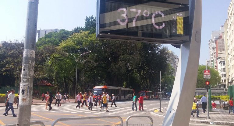 Comissão de Meio Ambiente discute instalação de usina termelétrica no entorno de Brasília