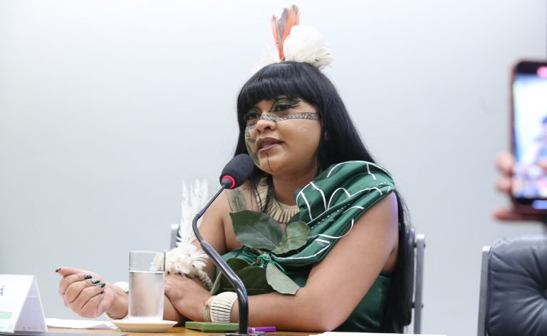 Comissão debate Dia Nacional de Redução da Mortalidade Materna