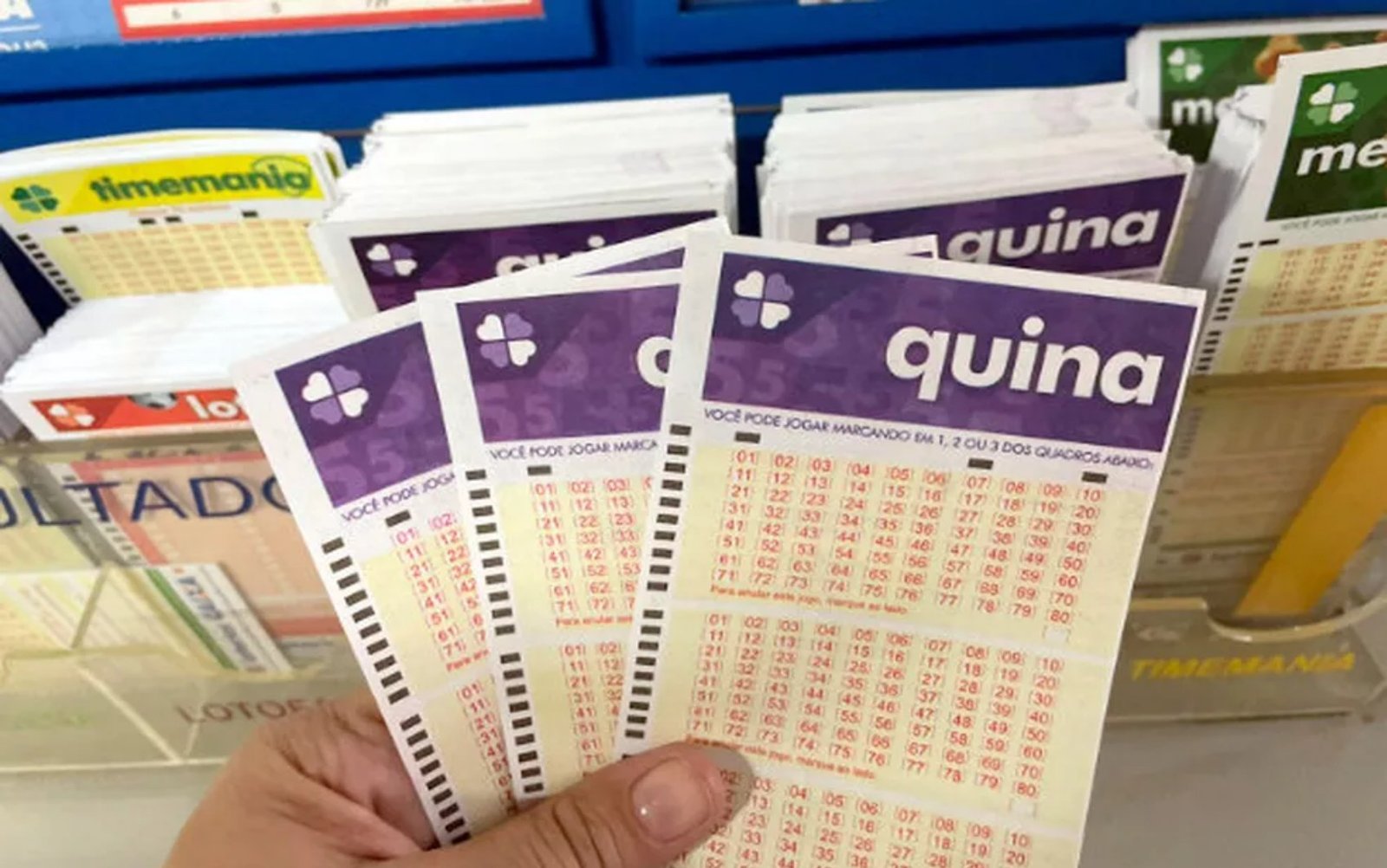 Aposta do litoral de SP ganha sozinha R$ 9,9 milhões na Quina; mesma lotérica teve outro prêmio