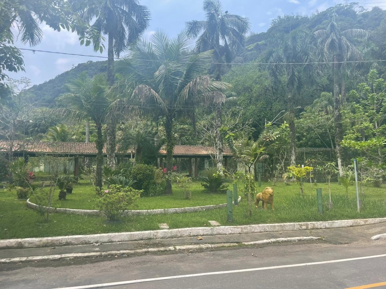 Hipopótamo Ramon pode se despedir do Horto de São Vicente para viver no Zoológico de SP