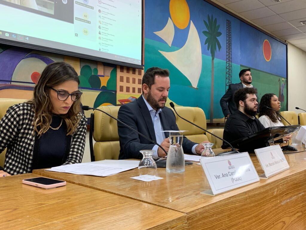 Subcomissão de Juventude questiona paralisação de programa voltado ao atendimento de jovens em São Paulo