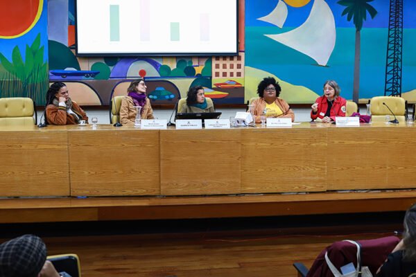 Em debate, profissionais e movimentos sociais defendem criação de políticas públicas para evitar a mortalidade materna