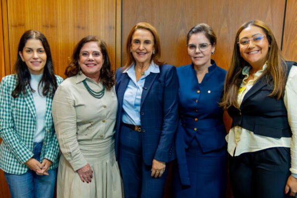 Procuradora Especial da Mulher da Câmara de SP articula parcerias e busca referências em Brasília