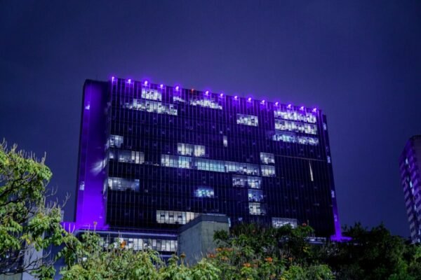 Câmara de SP ilumina Palácio Anchieta com a cor lilás em apoio ao Dia Municipal do Teste do Pezinho