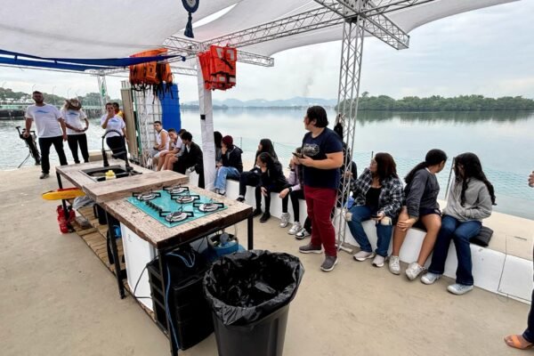 Barco-escola com aula sobre o manguezal é atração no mês do meio ambiente em Cubatão, SP; veja a programação