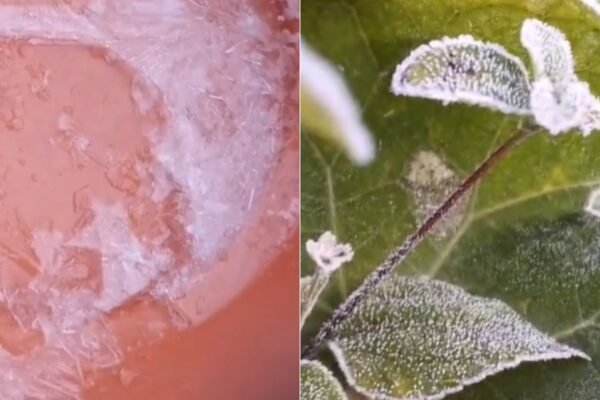 Com geada, Apiaí registra -1,9ºC e fica entre cidades mais frias de SP