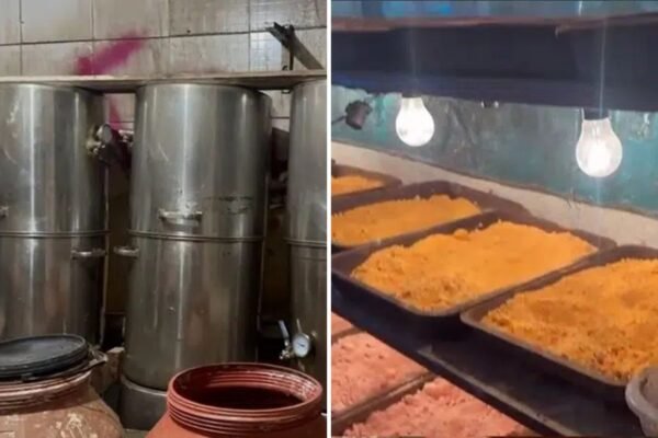 Polícia prende ‘químico’ suspeito de manter laboratório industrial de drogas sintéticas no litoral de SP; VÍDEO