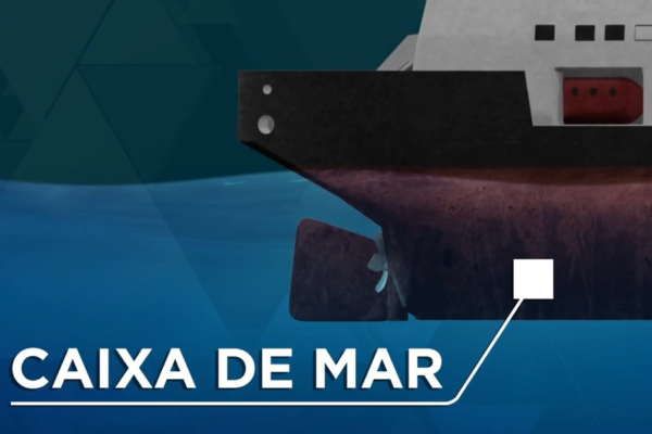 ‘Aquaman do tráfico’: criminosos de SP recrutavam mergulhadores do ES para esconder drogas em navios e enviar para o exterior