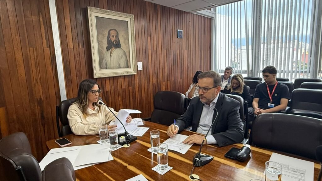Comissão da Criança quer ouvir o Conselho Tutelar de São Paulo sobre o trabalho realizado na capital