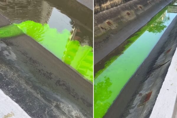 Líquido verde fluorescente invade canal em Santos, SP, e gera multa para condomínio; VÍDEO