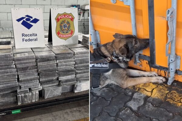 Maior apreensão de cocaína em 4 anos: Receita Federal intercepta 1,5 tonelada no Porto de Santos