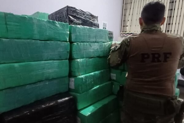 Mais de 5 toneladas de maconha congelada são encontradas em carga de peixe no litoral de SP Mais de 5 toneladas de maconha congelada são encontradas em carga de peixe no litoral de SP