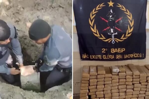 Polícia Militar encontra mais de 100 kg de drogas enterradas em área de mata em São Vicente, SP